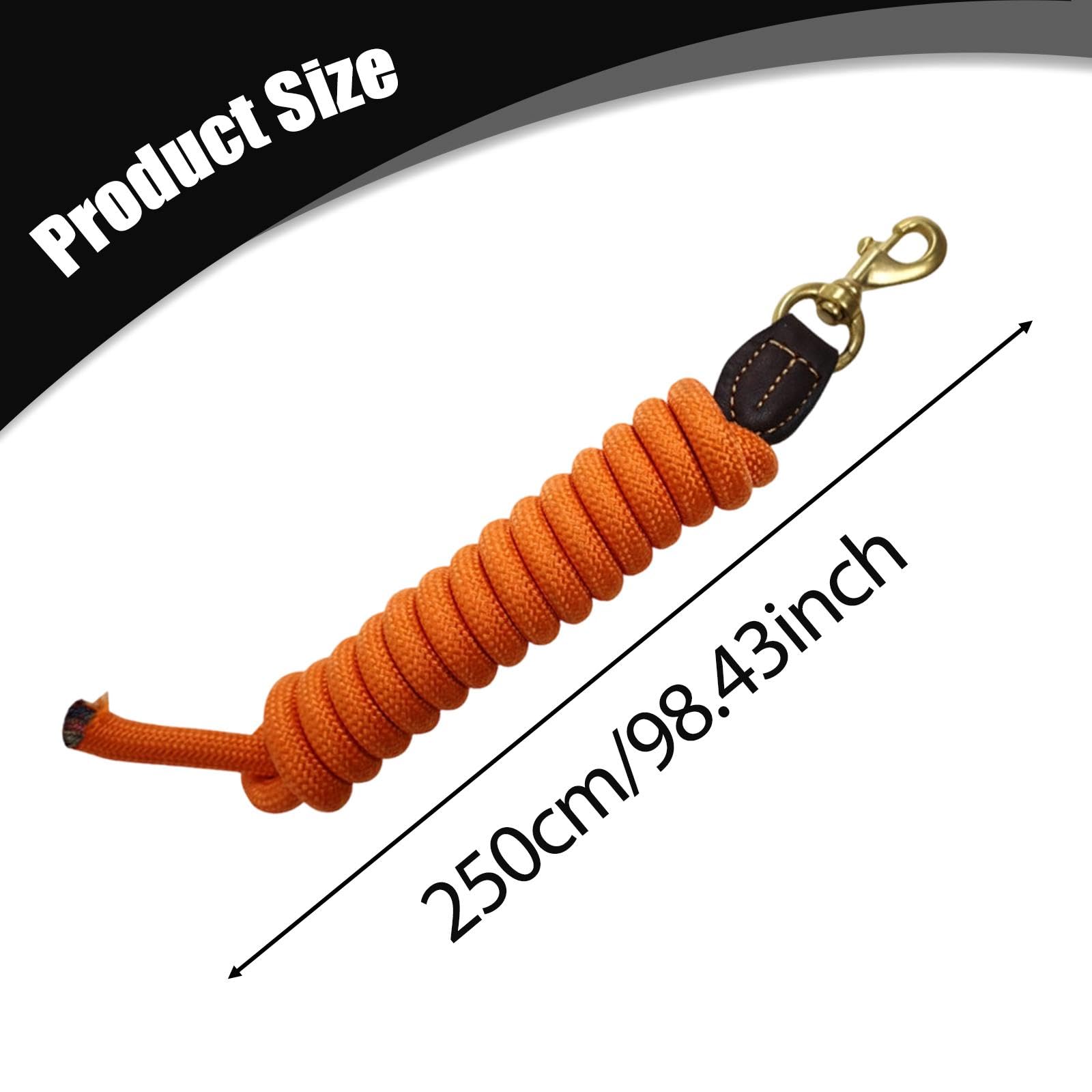 Sharplace Longe d'entraînement en Nylon pour Cheval, rênes de 250 cm, Accessoire d'équitation pour Le Jeu, la Marche et Les Concours.