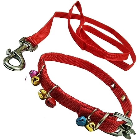 Cat neck belt online india Clearance