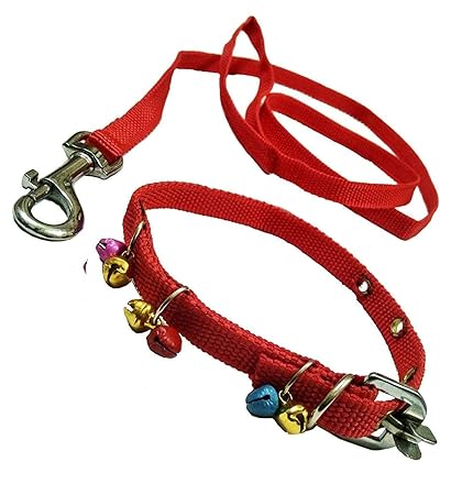 VRCT Nylon Puppy Dogs Collar Belt and Leash (Extra Small) (Assorted Color), Nylon, (Pack of 1)