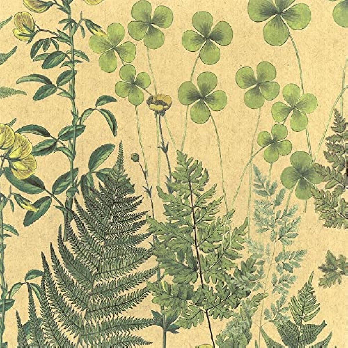 格安店 壁紙屋本舗 はがせる 亜麻壁紙 リネン 厚手 クロス ボタニカル柄 サニー 48 270cm 2パネルセット 調湿 断熱 北欧 壁紙 予約販売 Www Littleshopp Com