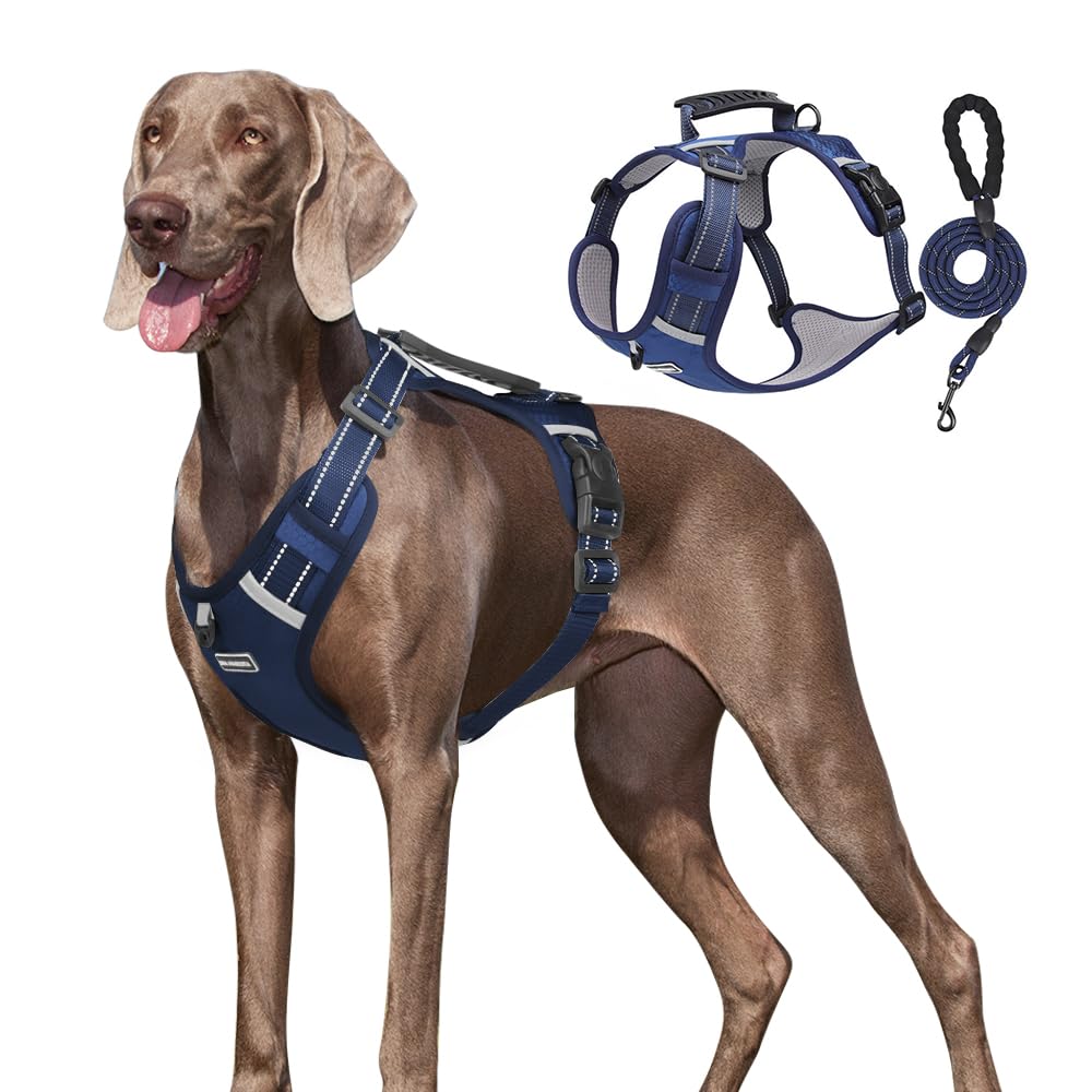 Arnés de seguridad Chest Plate para perros pequeños, medianos y grandes con correa, 1,5 m (azul oscuro, L)