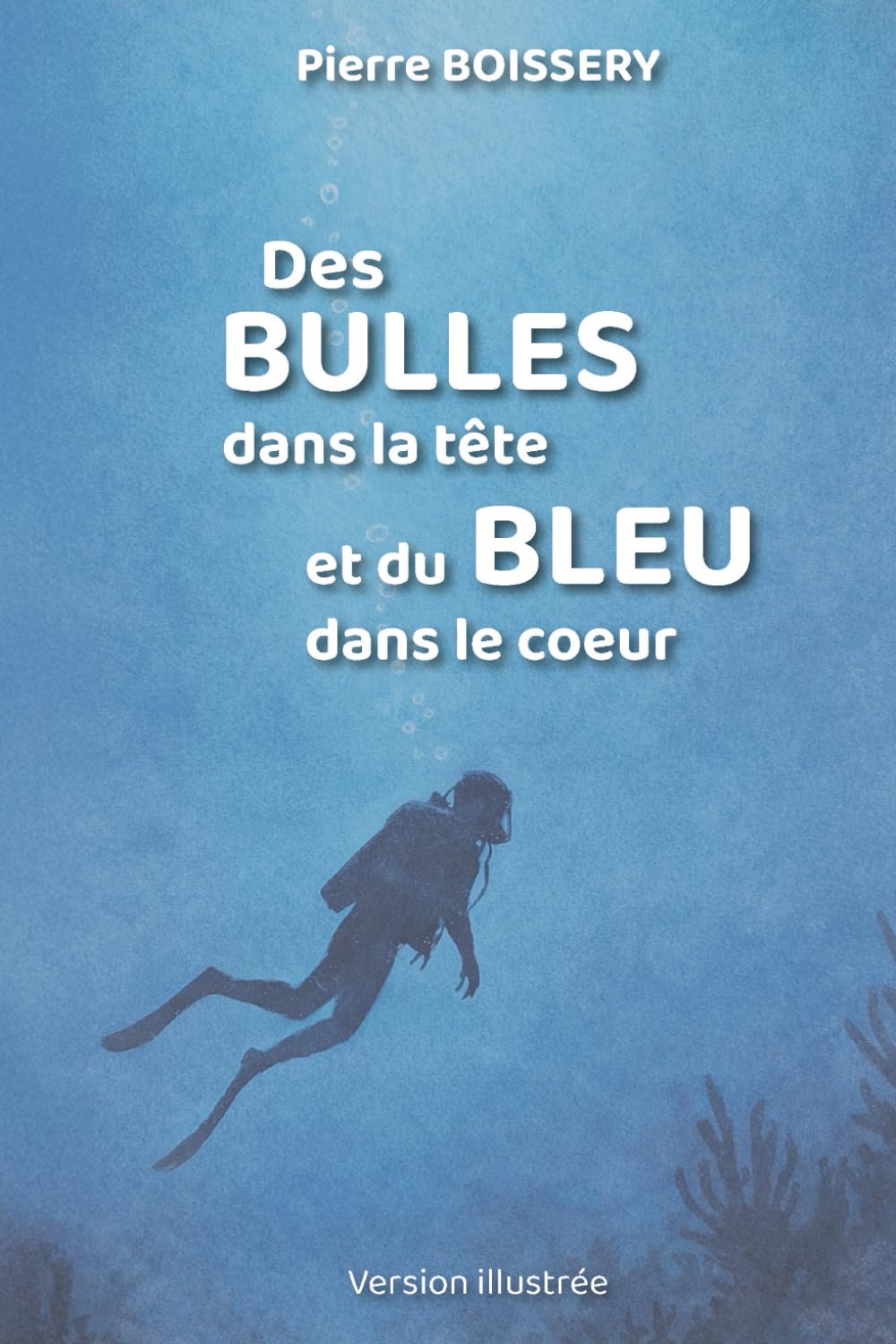 Des BULLES dans la tête et du BLEU dans le coeur: Il n'y a pas de mauvaise plongée. Il y a uniquement de bonnes histoires.