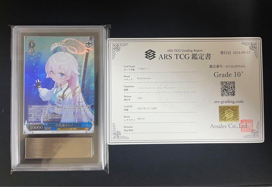 小鳥遊ホシノ sp ARS10+ 2025年最新】ヴァイス sp 小鳥遊ホシノの人気アイテム - メルカリ