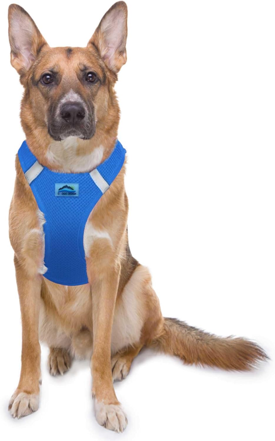 Doggie Design Dog Harness - No Choke Harness for Pets, Dog Vest, Mesh Polyester, Simple Step in and Go Design, Reflective Vest for Dogs - Raspberry Pink and Orange, XXS