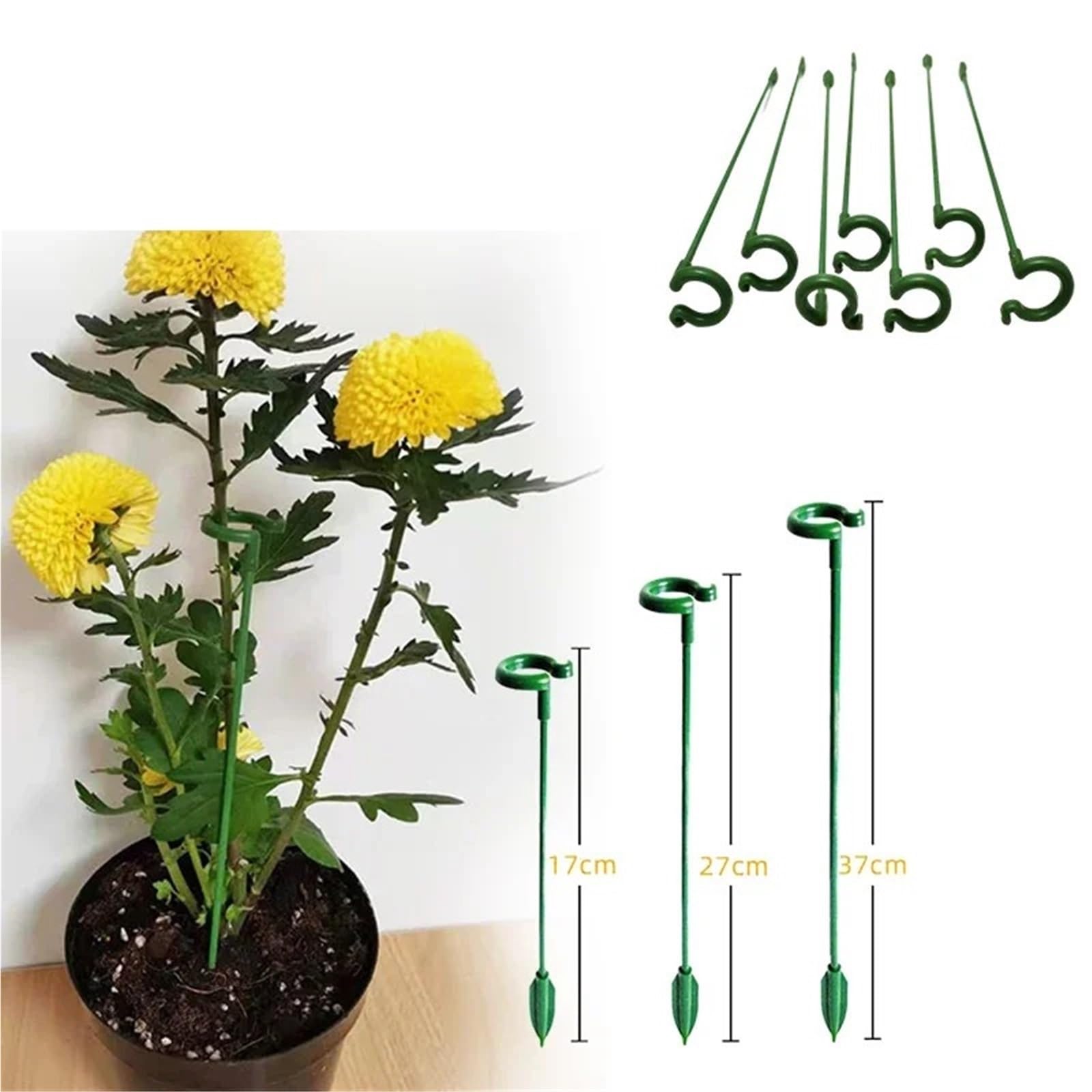 40PCS Plant Supports Stakes pour Fleurs et Plantes Grimpantes
