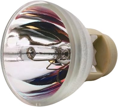 Advanced LampsTM Lamp Bulb Only for The Vivitek D519 Projector - 180