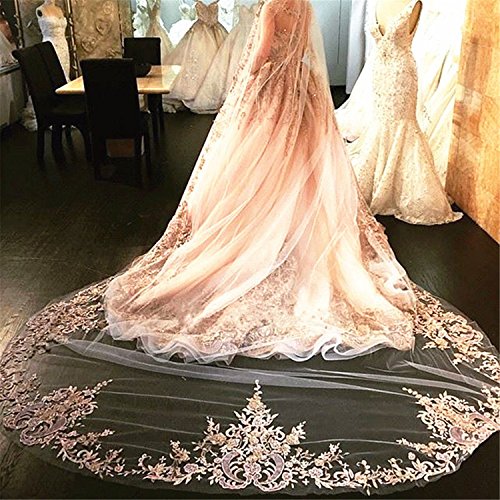 Newdeve Champagne 3M 1T Bridal Veils Lace Edge With Free Comb (Champagne) #TOP1