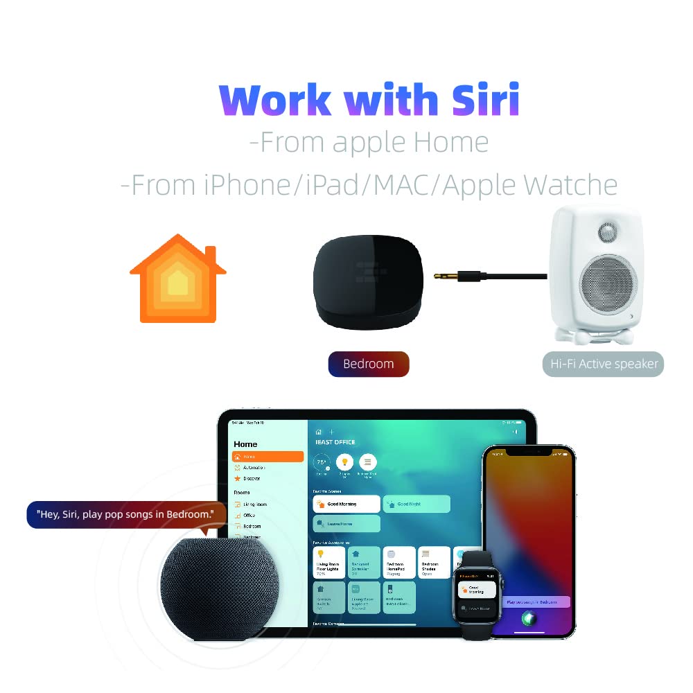 IEAST OLIO Audio Transmitter AirPlay 2 Receiver HiFi Wireless Multiroom Stereo Preamp Works with Siri and Alexa Voice Assistants, Hi-Res Audio Supporting, Dual WiFi, Bluetooth Supporting