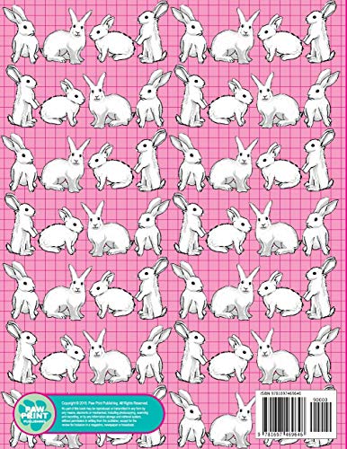 Cute Rabbit Grid - Graph Notebook / Quadrant Exercise Book / 1/4 X 1/4 Or Four Squares Per Inch (Coo