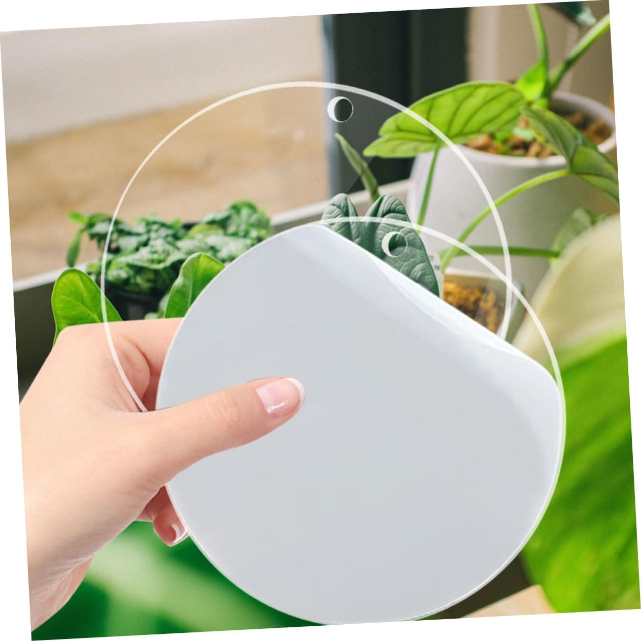 LIFKOME 8pcs Sheets Clear Round Acrylic Discs with Holes Transparent Blank Panels for DIY Crafts Thick for Art Projects and Photo Frames