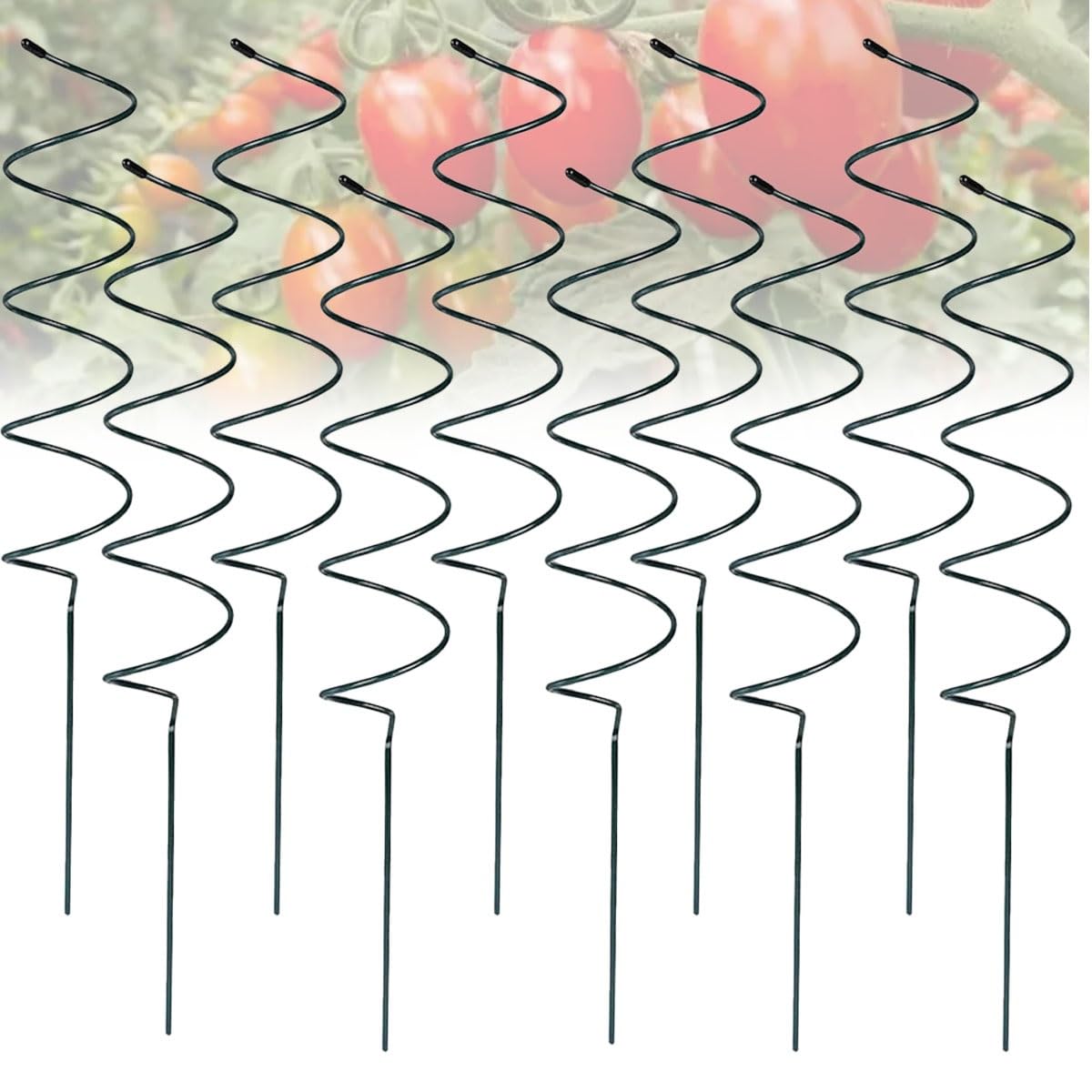 Lot de 10 tuteurs à tomates en spirale – Supports métalliques pour plantes de jardin et serre – Lot de 10 cages torsadées pour tomates – Piquets torsadés pour une meilleure croissance des plantes