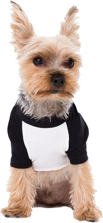 dog raglan shirt