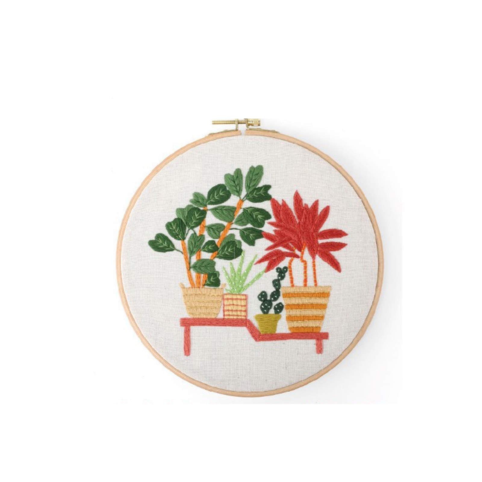 Kit fai da te per ricamo a forma di cactus, regalo per principianti - Italia