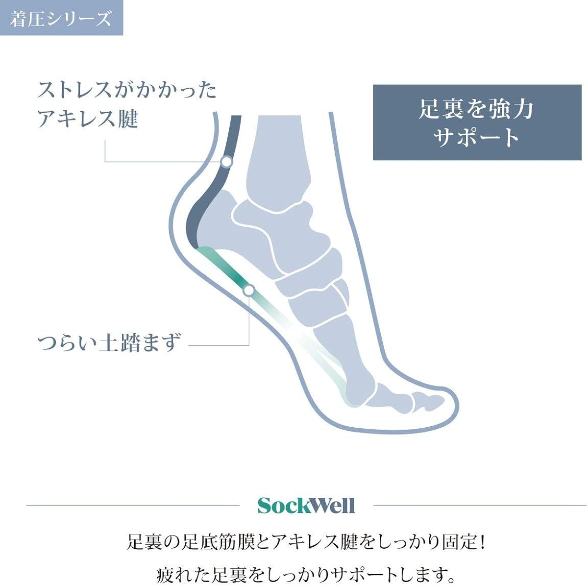 Sockwell Women's Plantar Cush Crew Sock : Clothing, Shoes & Jewelry