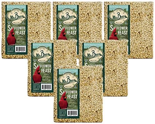 1 Count (Pack of 6)
