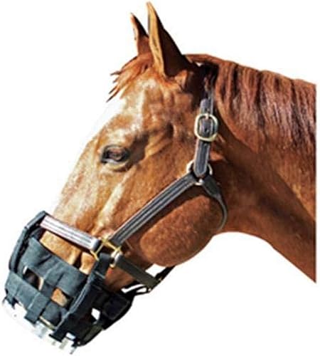 Best Friend - Bozal de cuna para mejor amigo de JackS