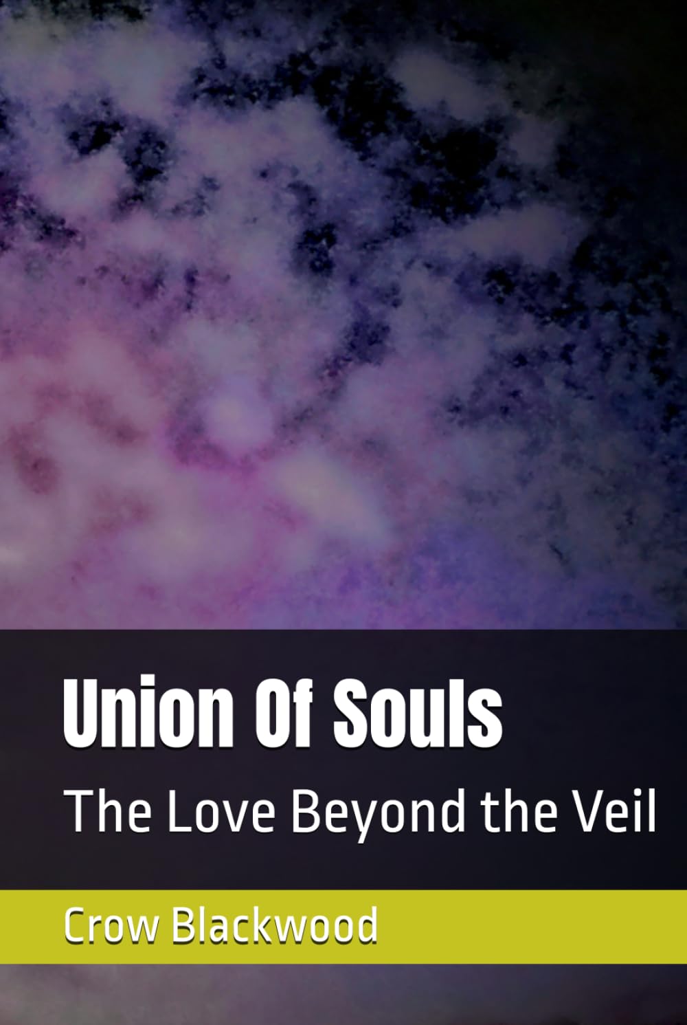 Union Of Souls: The Love Beyond the Veil