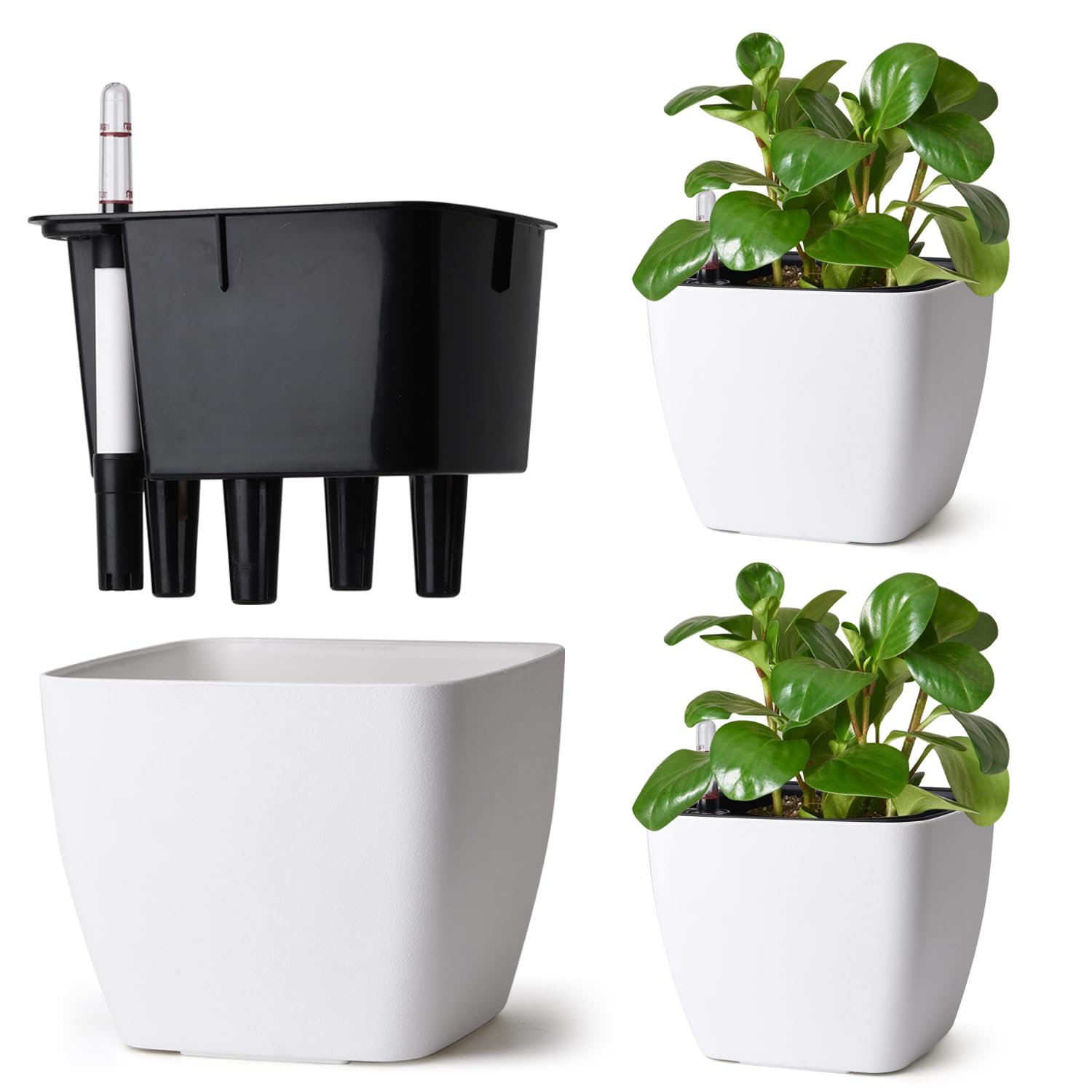 T4U Vaso Autoirrigante Quadrato, Vasi da Interno 18 cm Set da 3 Bianco | Vaso con indicatore acqua, Vasi con riserva d'acqua, Pothos, edera, erbe aromatiche, casa e ufficio