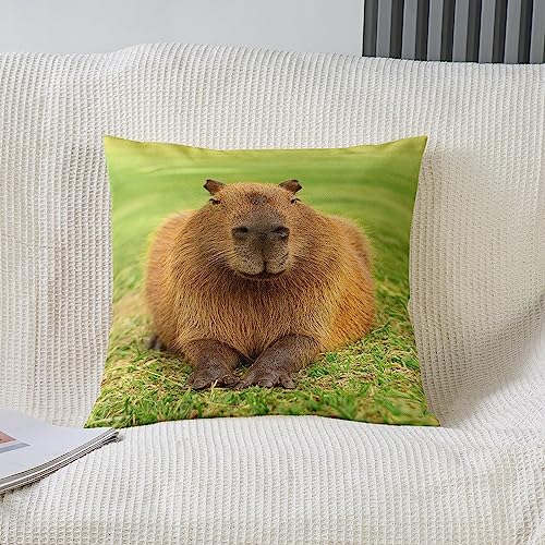Housse de coussin Capybara 60x60 cm pour canapé triste - 3