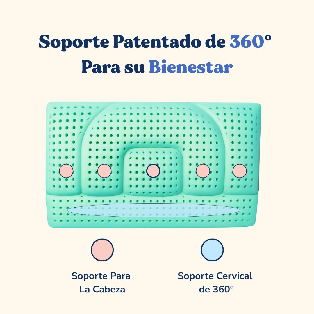 Almohada cervical ortopédica ajustable de aloe vera (4 alturas 7/9/14/16 cm) – Alivia los dolores, transpirable, antironquidos, hipoalergénico, funda lavable y refrescante