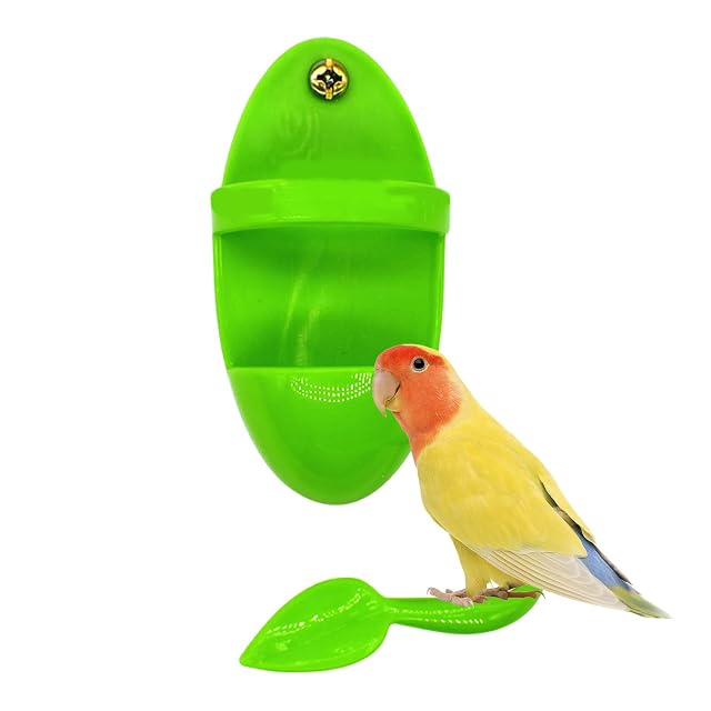 Foto 8 de 8 de Yusheng Jibia para pájaros - Cuttlebone Stand Cuddle Bone Bandeja para Tazas de alimentación,Cuddle Bone…