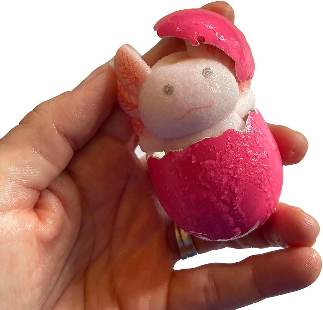 1 Random Color Hatch and Grow an Axolotl Egg - Add Water and it Grows up to 4" - Sea Critter Toy Fun Science Expanding Novelty Magic Absorbent Polymer Toy (1 Random Color) image 4