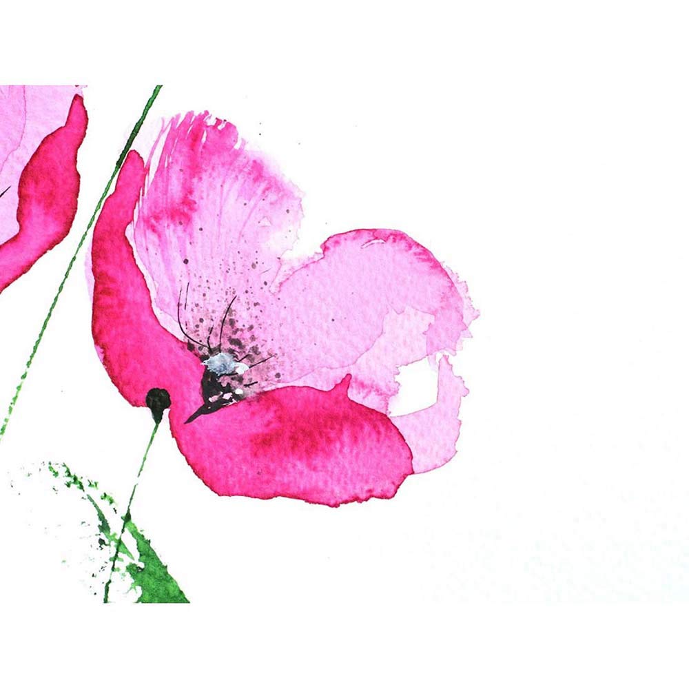 Wee Blue Coo Flower Poppy Watercolour Art Print Poster Wall Decor 12X16 Inch