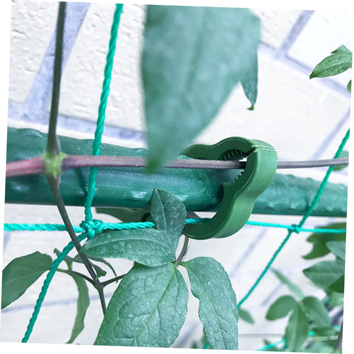 50 Stück Gartenclips Pflanzen Pfingstrose Aufstecksieb für Töpfe Gartenspalier Blumenrankenclips Grün Plant Clips pflanzklammer tomatenclip Anlage Orchideenranke Wein-Clips Plastik