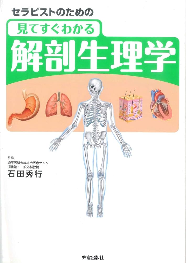 セラピストのための見てすぐわかる解剖生理学 | 石田 秀行 |本 | 通販