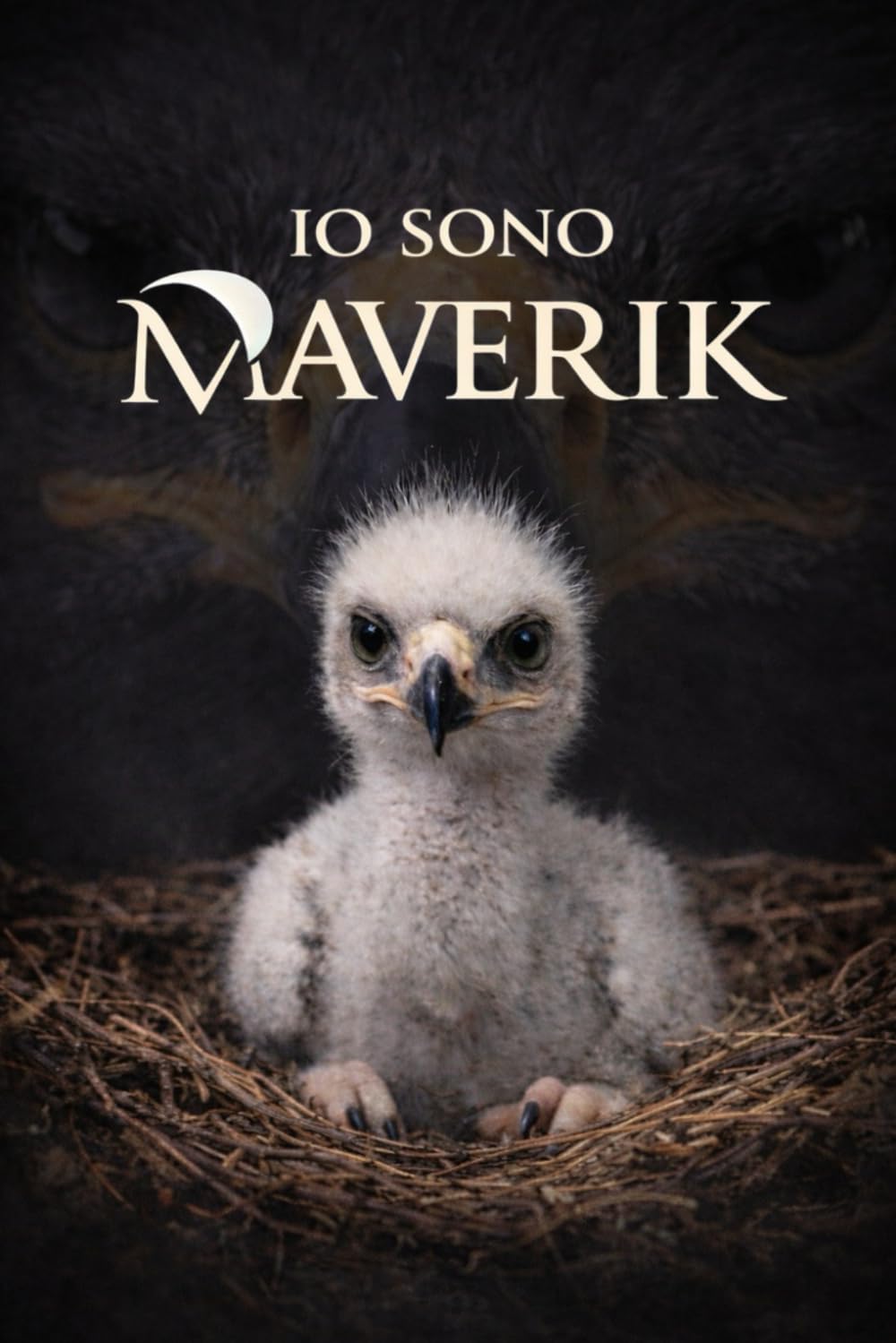 IO SONO MAVERIK: La vera storia di un'aquila nata per il cielo