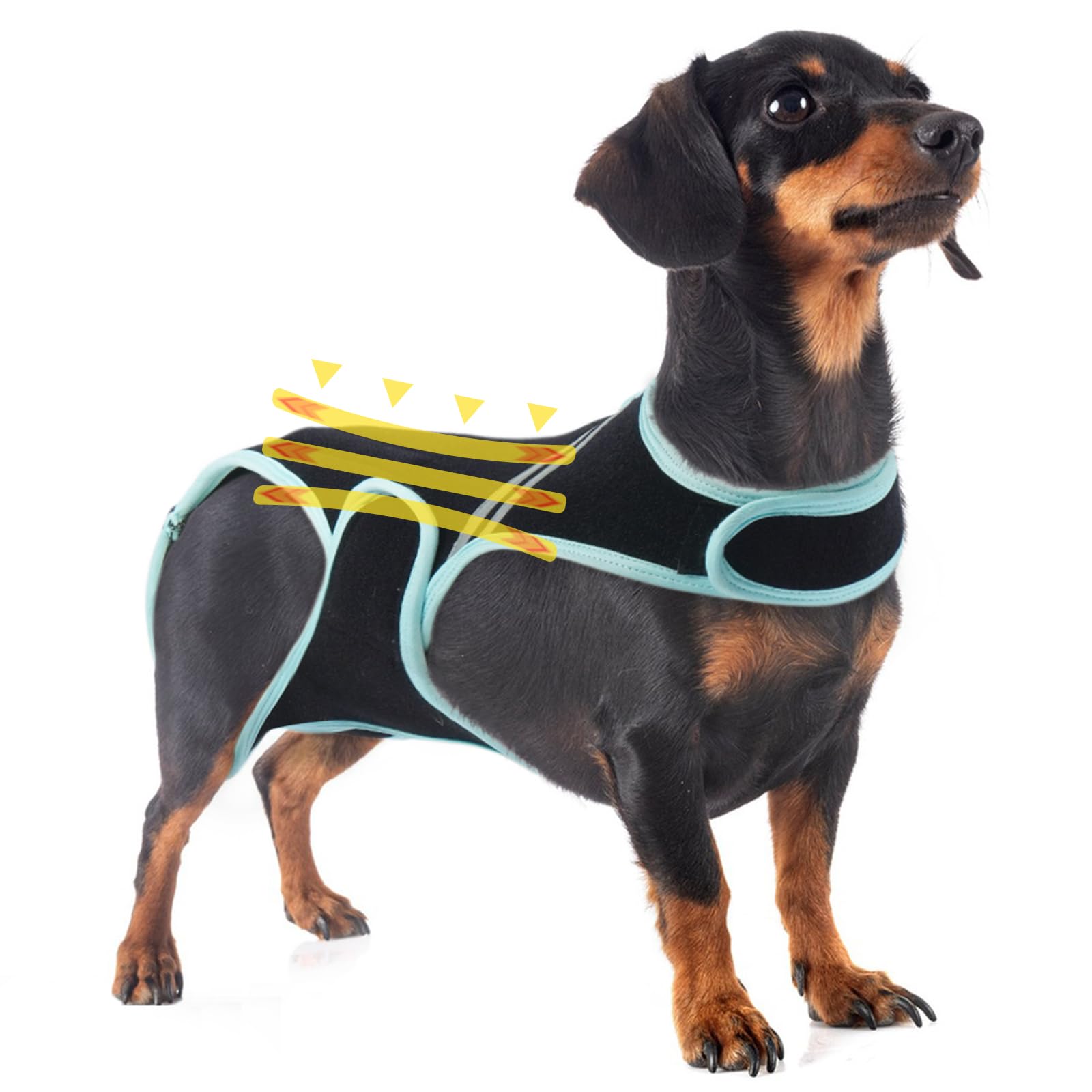 PUMYPOREITY Dog Back Support Brace, Dog Back Bracer, Back Protector Helps Pain Relief, Surgical Recovery, Back Injuries and Rehabilitation, Improved Movement and Stability for Senior Pets(XS) โ image 1