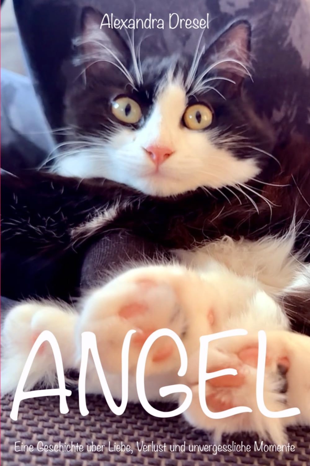 ANGEL: Eine wahre Katzengeschichte über Liebe, Verlust und unvergessliche Momente