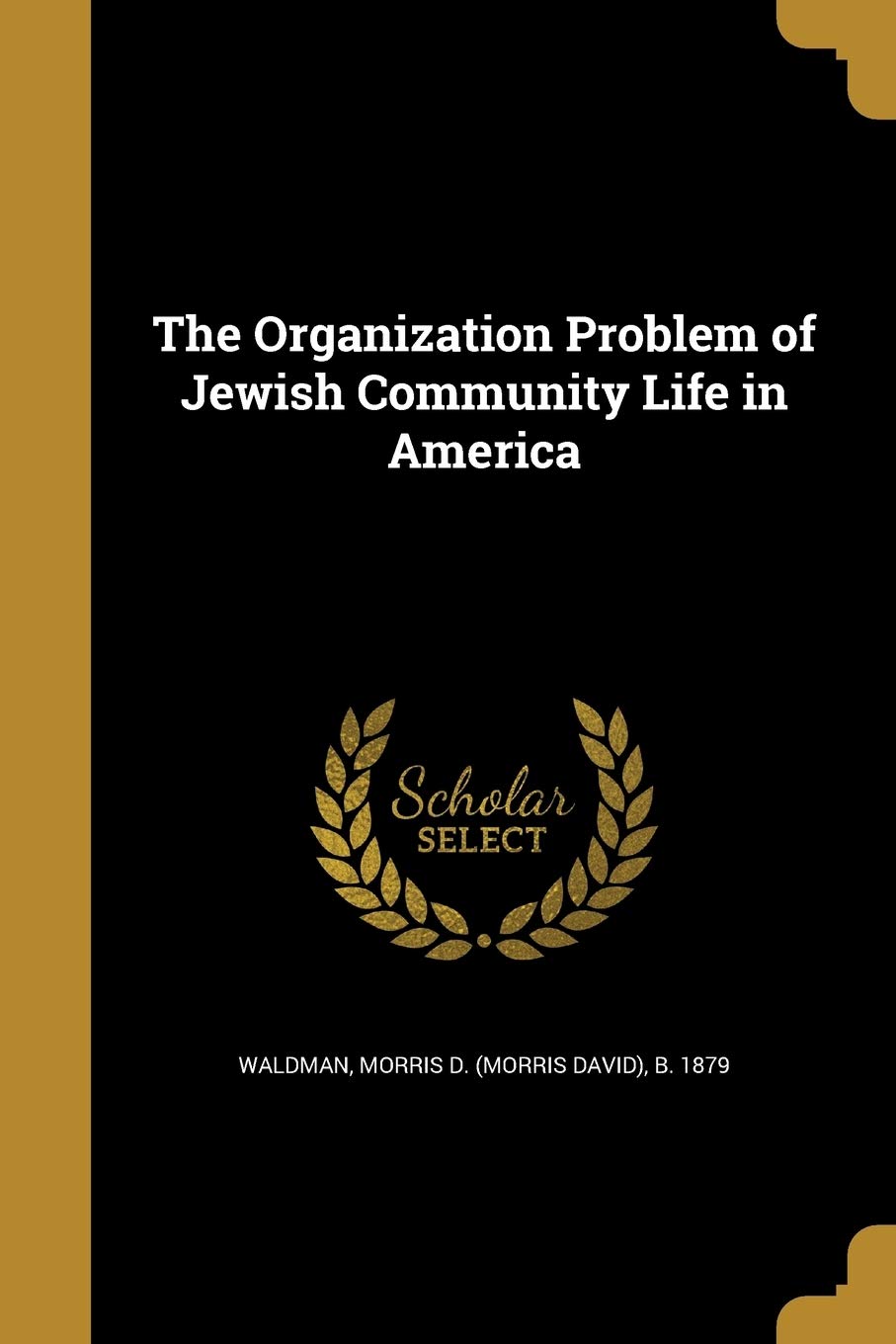 The Organization Problem of  Jewish  Community  Life  in America