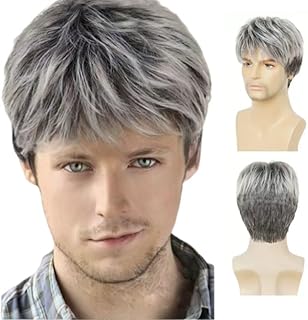 ウィッグ メンズ ショート 男装 中高年ウィッグ 白髪 紳士 変装 演劇 wig 短い かつら おじいちゃん 父 ファッション ビジネス ふわふわ 欧米 自然 通気 耐熱 コスプレ 男装 Halloween パーディー イケメン イメチェン ふわゆる 原宿 黒 短髪 美男feibin