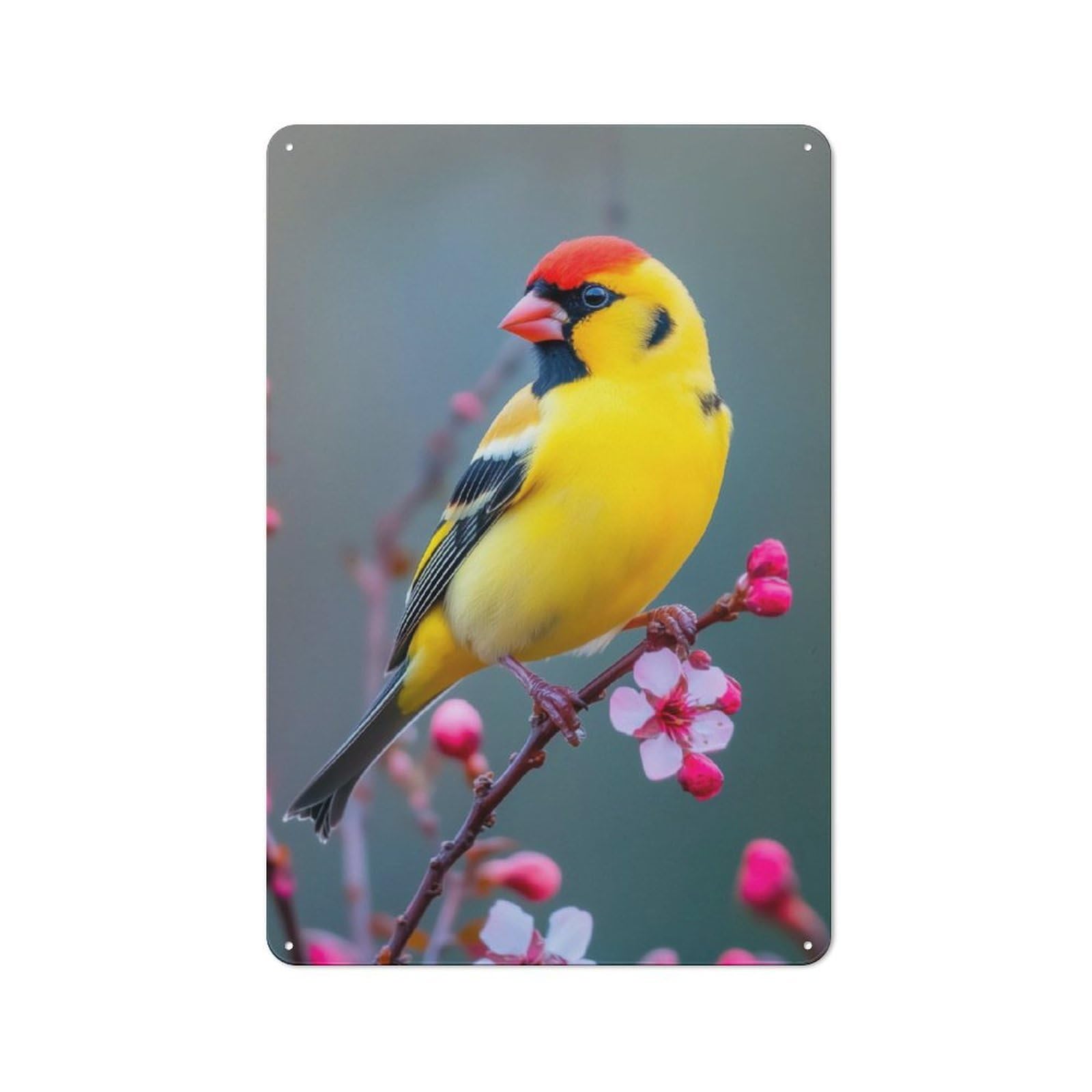 Junmoney Yellow Goldfinch Bird On Branch Metal Plaque 30X20cm With For Hallway Wall, Retro Decor, For Wall Display Collectors