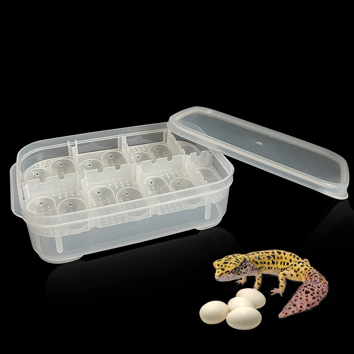 Amazon.com : GKPONSX 14 Grids Reptile Breeding Box, Egg