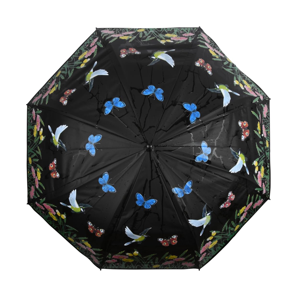 Esschert Design, noir/blanc,