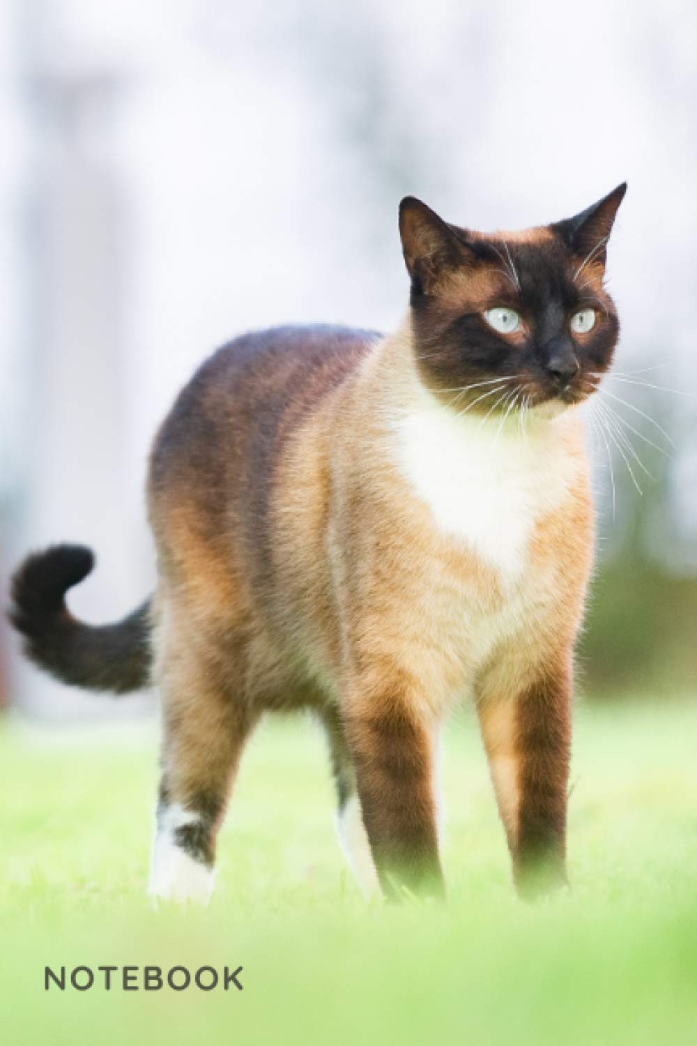 Siamese Notebook: blank lined composition journal | Siamese cat | 100 pages