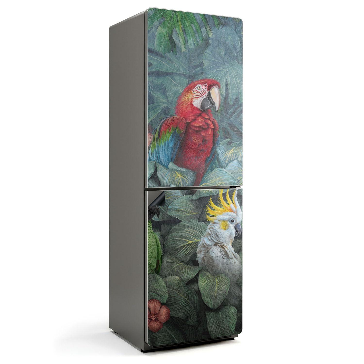 Tapis Magnétique 60x190 cm pour Cuisine Rénovation Motif Oiseaux Tropicaux