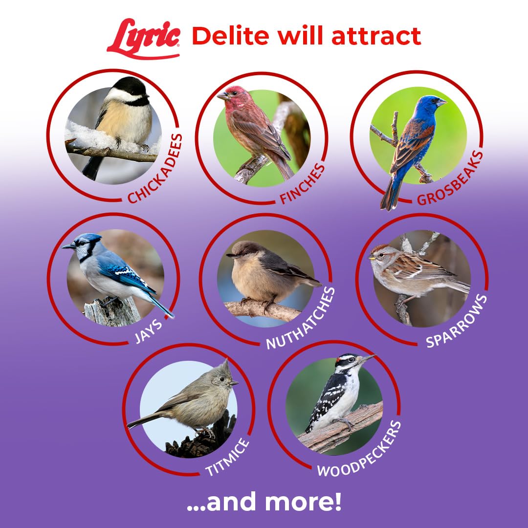 Lyric 2647462 Delite - Mezcla para aves silvestres sin residuos de alta proteína, 9 kilos