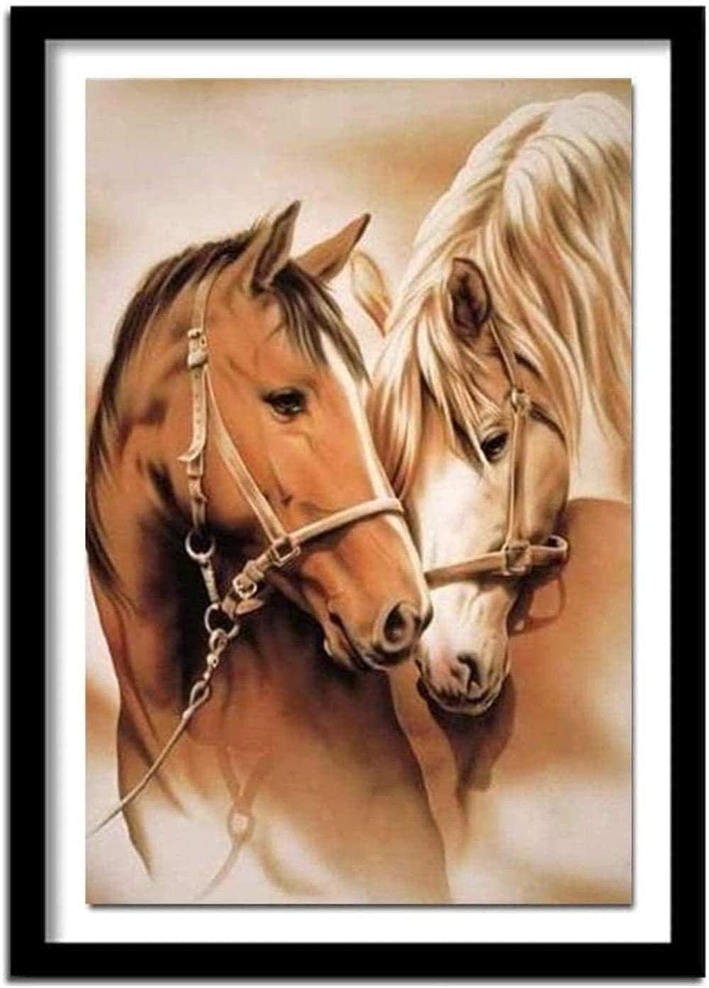 Cross Stitch Kits voor Beginner Twee Paarden 11CT Gestempelde Kruissteek Voorgedrukt Patroon Borduurwerk DIY Kinderen Volwassen Woondecoratie 16x20 inch