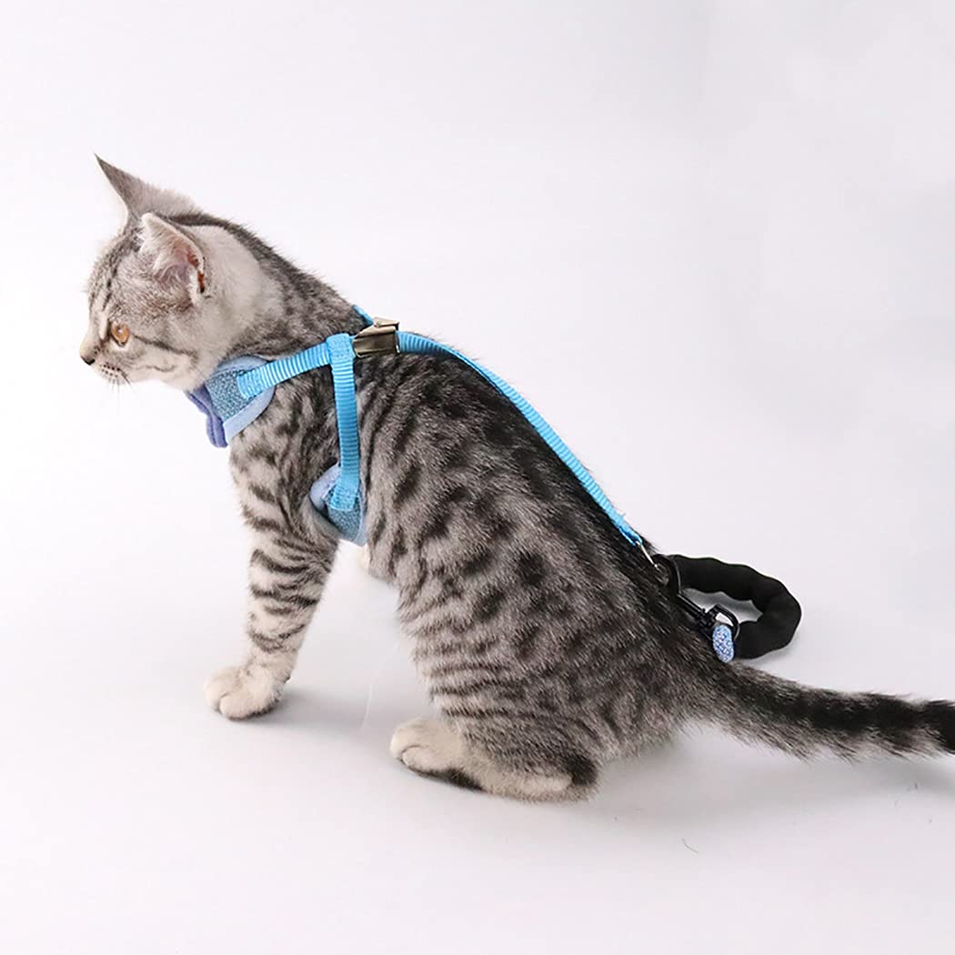 Harnais et Laisse pour Chat, Harnais Gilet Respirant Anti-Fuite, Laisse pour Animal de Compagnie avec nœud décoratif