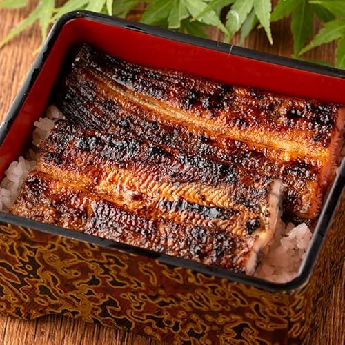 尾方屋 うなぎ 蒲焼き 2尾 タレ付き[入金確認後、1ヶ月以内に発送予定]