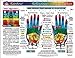 SET 4 CHARTS: REFLEXOLOGY-FOOT & HAND, CHAKRAS, & IRIDOLOGY (EYE Reflexology). in Inner Light Resources RAINBOW® Charts Series. 8.5 x 11 in. (Small Poster/ Large Cards)