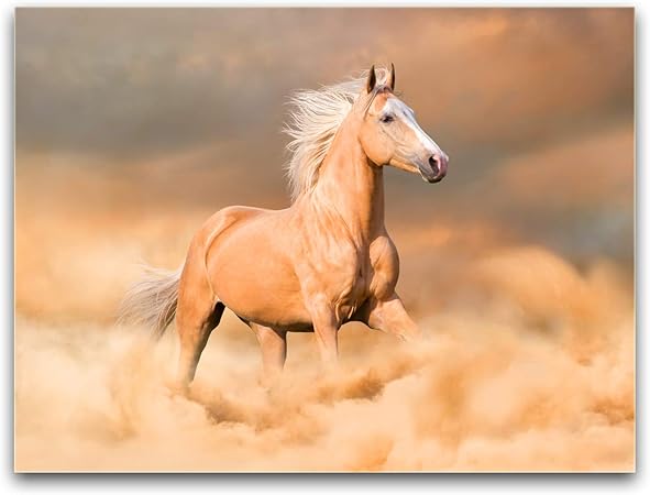 Amazon Com Purple Verbena Art Runing Horse Powerful Pictures Wall Art Canvas Print Painting For Home Living Room Hotel Office Home Wall Decor Gift 12x16 Inches Framed Picture Posters Prints