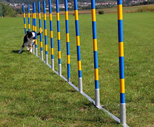 Callieway Orig Agility Slalom, TRICHTERSLALOM®, Gassenslalom, Agility Channel Weaves (FCI konform) Callieway Orig Agility Slalom, TRICHTERSLALOM®, Gassenslalom, Agility Channel Weaves (FCI konform)