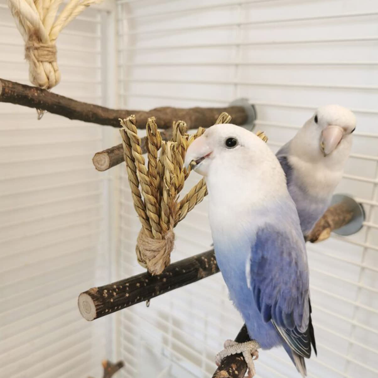 minkissy 5stücke Vogelspielzeug Aus Naturholz Kauspielzeug Für Papageien Und Wellensittiche Mit Natürlichem Astdesign Robust Und - Für Vogelkäfig Zubehör Fördert Spiel Und