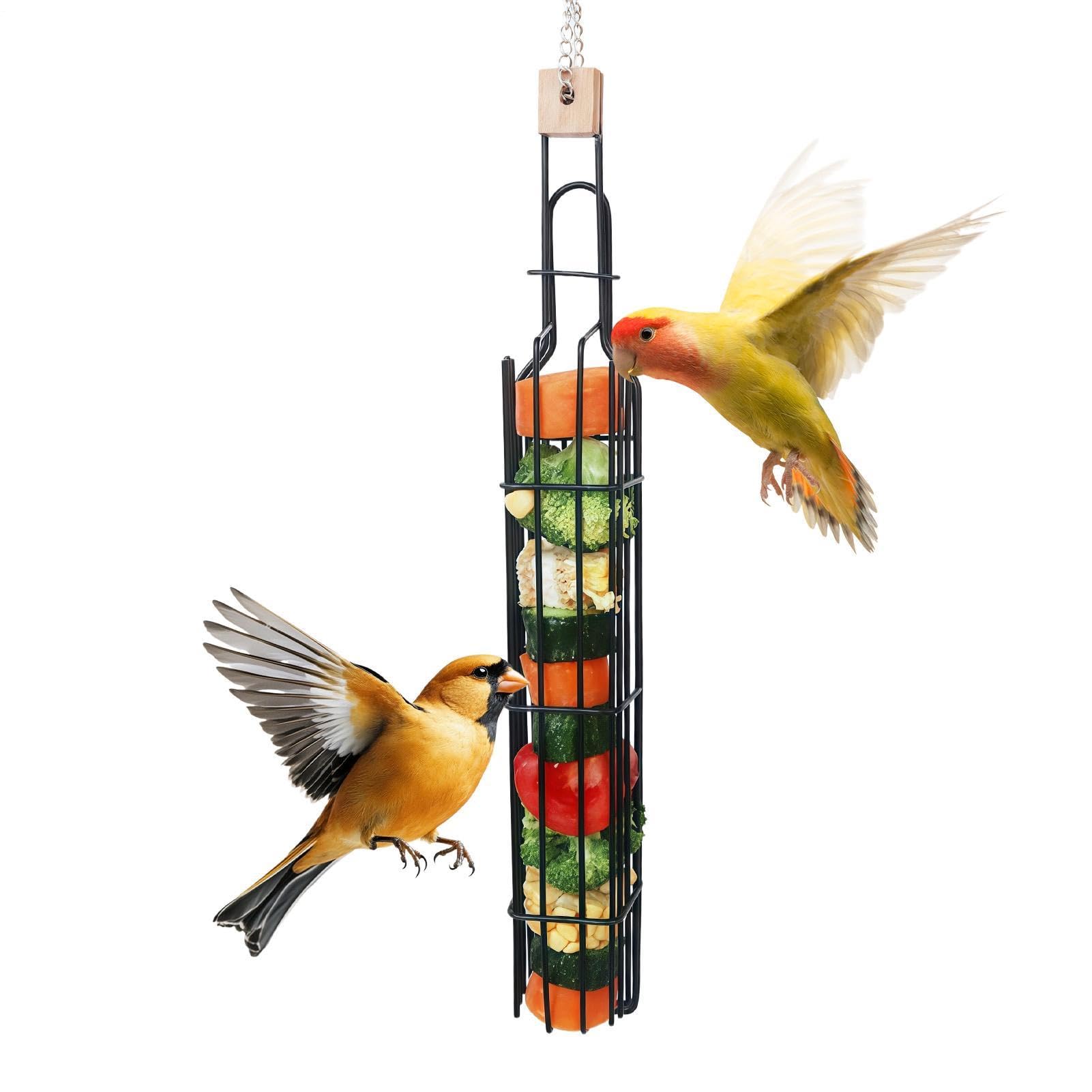 Accessoires d'enrichissement pour cage de calopsitte et perroquet lors de vos absences