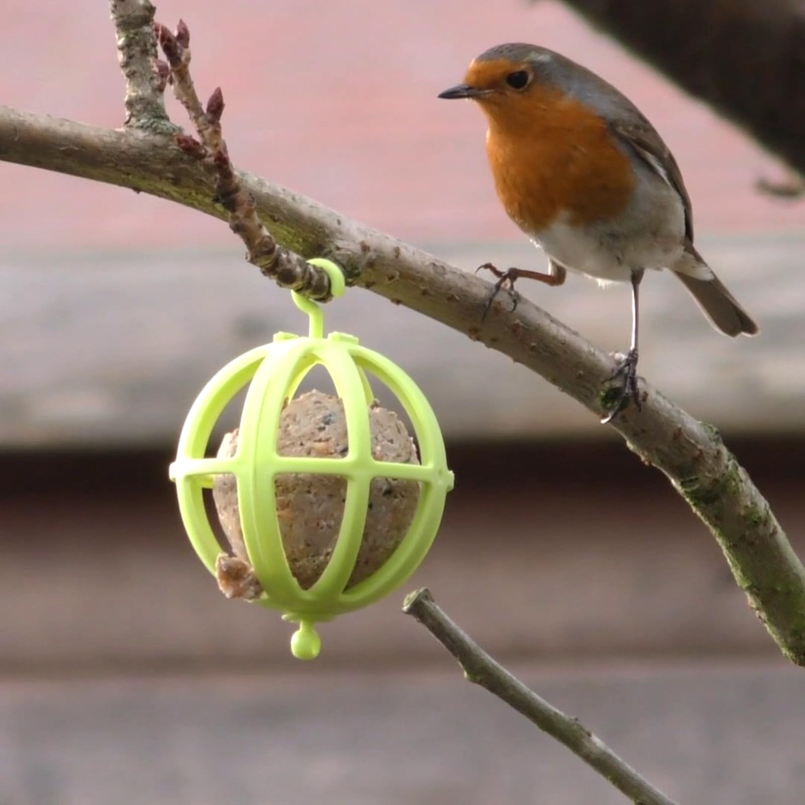 EURO MARKETING MANUFACTURING Happy Bird Feeder