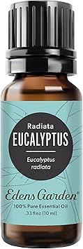 Edens Garden Eucalyptus- Radiata Essential Oil- 100% Pure Premium Grade, Undiluted, Natural, Therapeutic, Aromatherapy, The Best for Diffuser, Laundry, Hair, Humidifiers 10 ml .33 fl oz